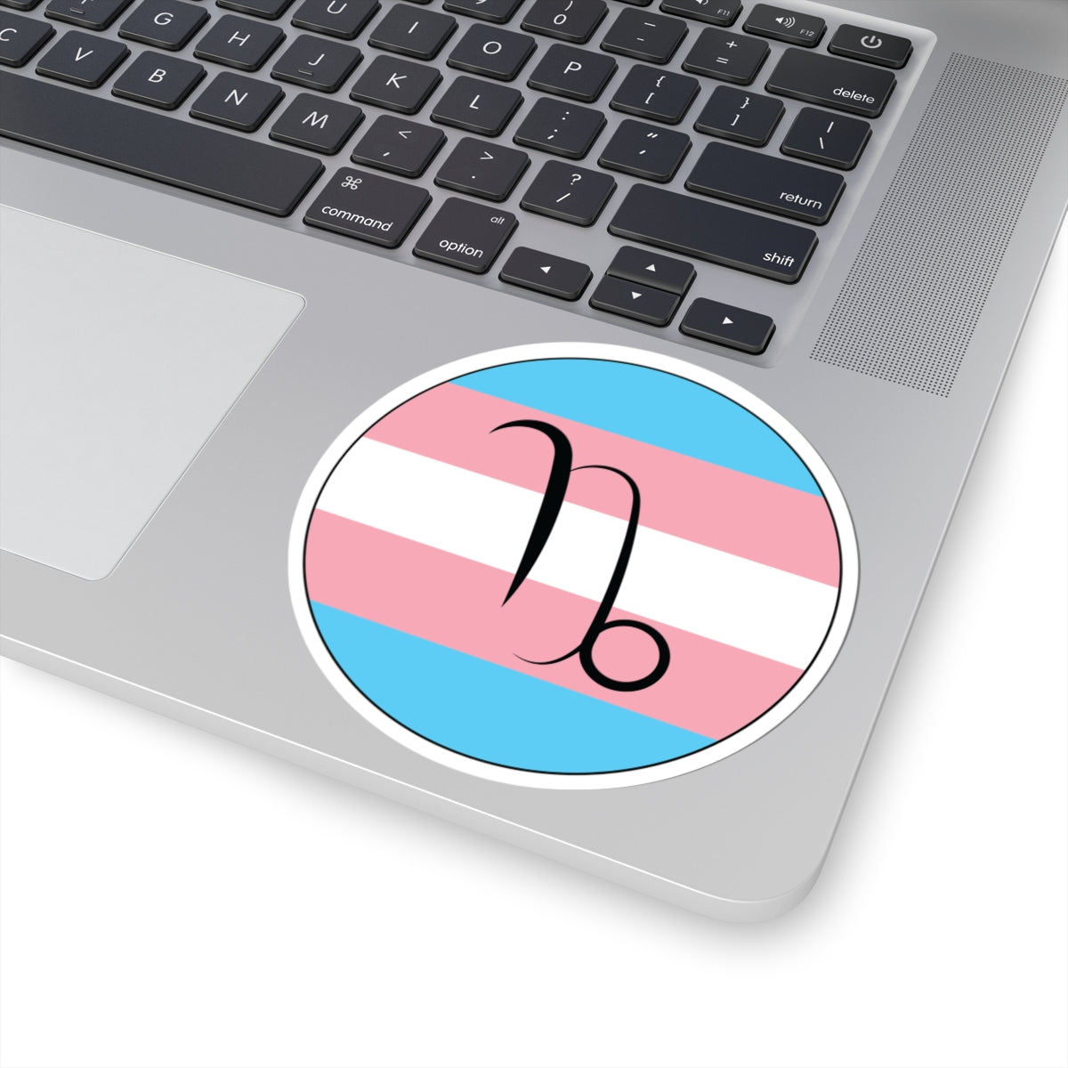 Close-up of the bottom right corner of a silver laptop featuring a 4 inch by 4 inch circular zodiac sticker with a centered Capricorn glyph on a Transgender pride flag style background applied to the surface.