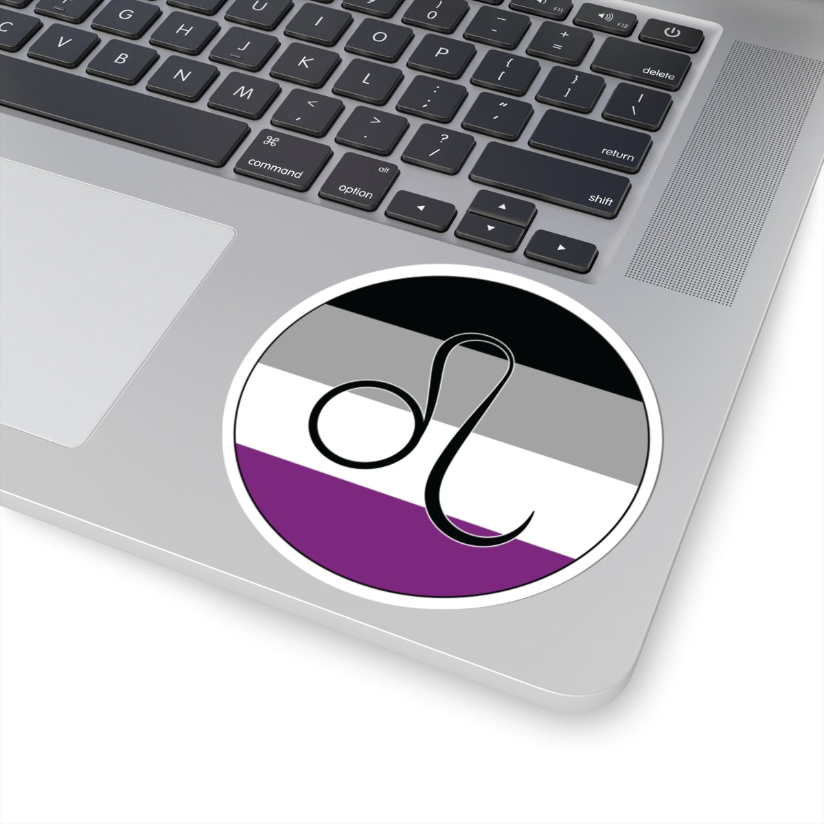 Close-up of the bottom right corner of a silver laptop featuring a 4 inch by 4 inch circular zodiac sticker with a centered Leo glyph on an Asexual pride flag style background applied to the surface.