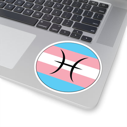 Close-up of the bottom right corner of a silver laptop featuring a 4 inch by 4 inch circular zodiac sticker with a centered Pisces glyph on a Transgender pride flag style background applied to the surface.