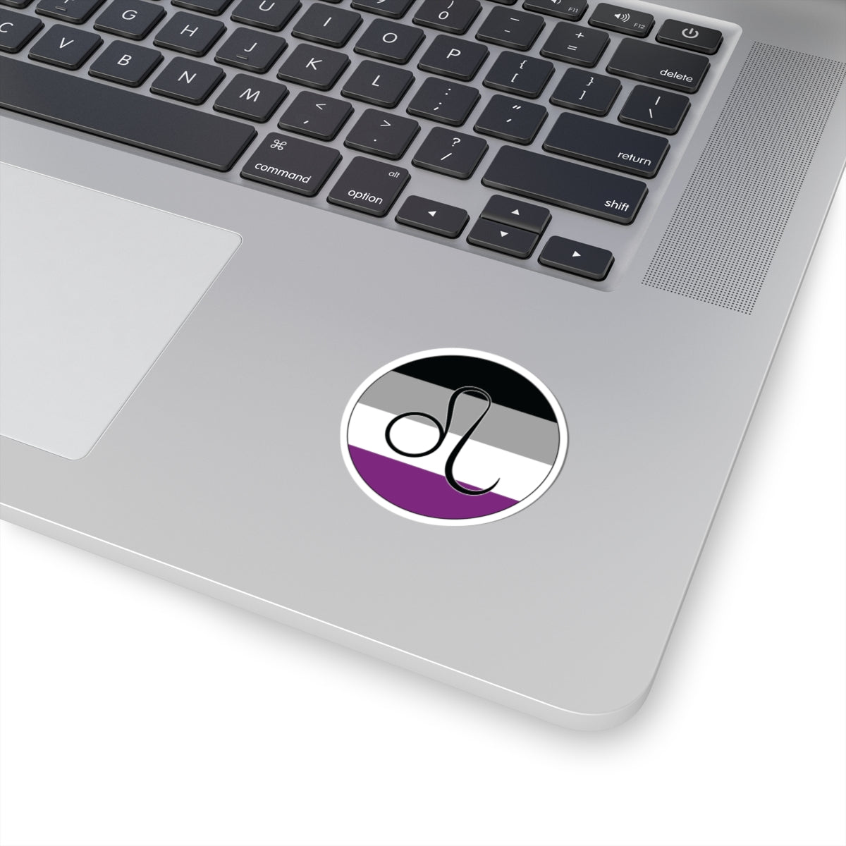 Close-up of the bottom right corner of a silver laptop featuring a 2 inch by 2 inch circular zodiac sticker with a centered Leo glyph on an Asexual pride flag style background applied to the surface.