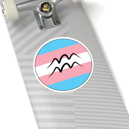 Close-up of the bottom of a silver skateboard featuring a 6 inch by 6 inch circular zodiac sticker with a centered Aquarius glyph on a Transgender pride flag style background applied to the surface.
