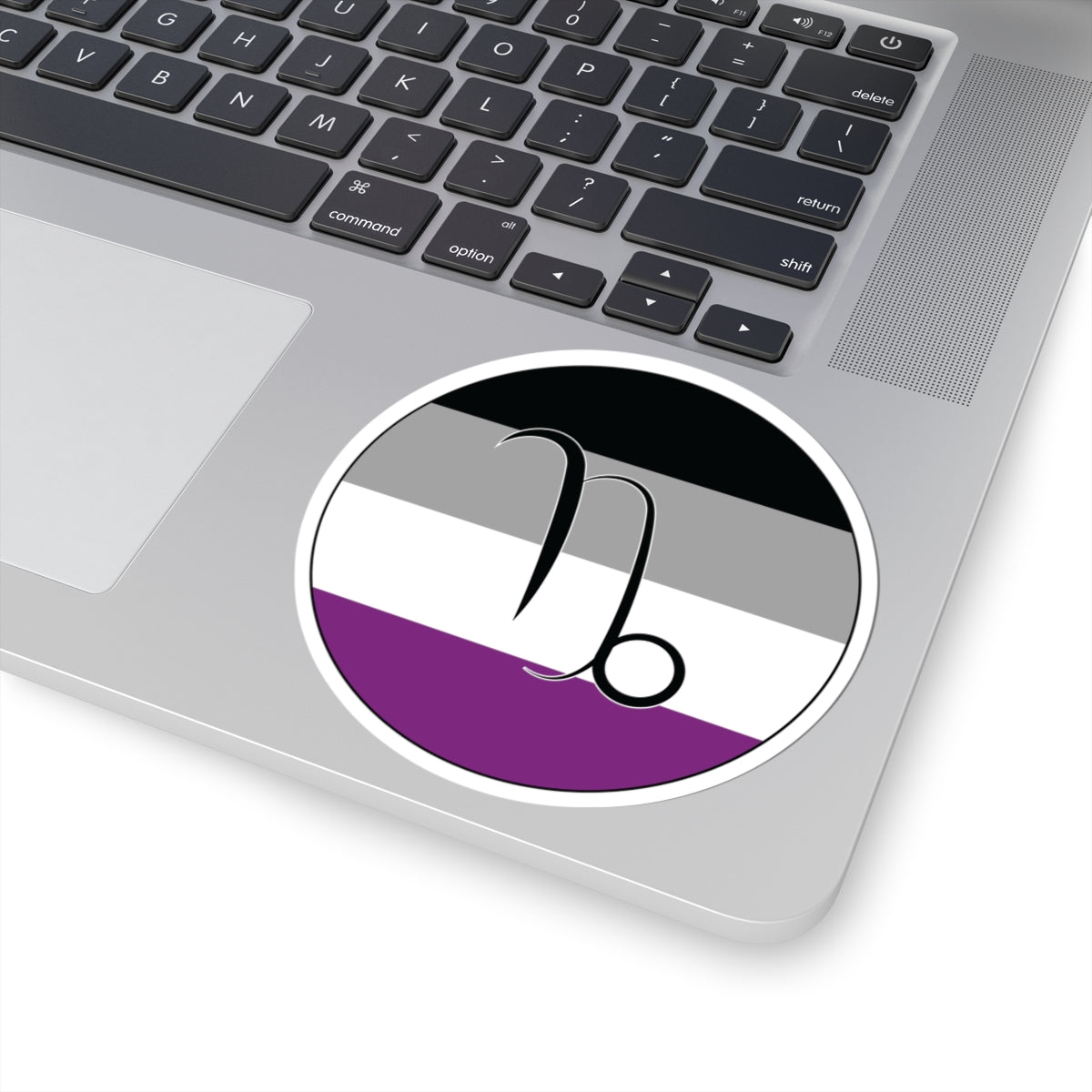 Close-up of the bottom right corner of a silver laptop featuring a 4 inch by 4 inch circular zodiac sticker with a centered Capricorn glyph on an Asexual pride flag style background applied to the surface.