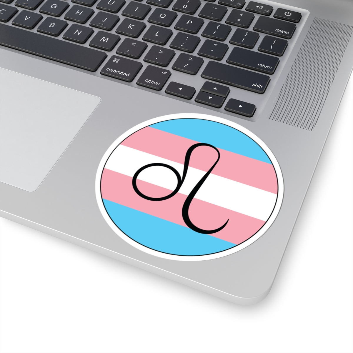 Close-up of the bottom right corner of a silver laptop featuring a 4 inch by 4 inch circular zodiac sticker with a centered Leo glyph on a Transgender pride flag style background applied to the surface.