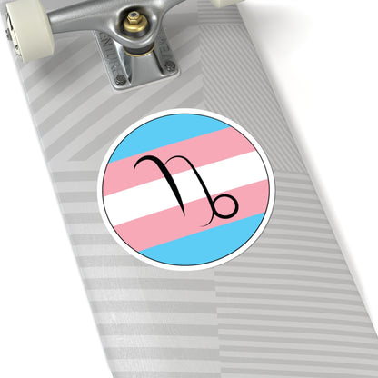 Close-up of the bottom of a silver skateboard featuring a 6 inch by 6 inch circular zodiac sticker with a centered Capricorn glyph on a Transgender pride flag style background applied to the surface.
