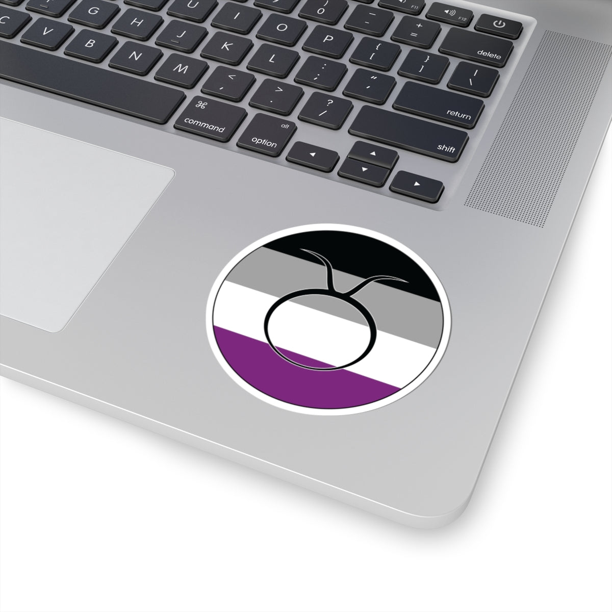 Close-up of the bottom right corner of a silver laptop featuring a 3 inch by 3 inch circular zodiac sticker with a centered Taurus glyph on an Asexual pride flag style background applied to the surface.