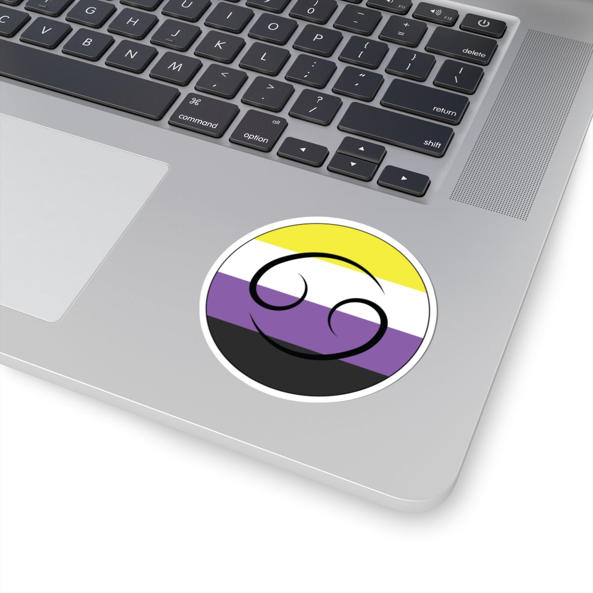 Close-up of the bottom right corner of a silver laptop featuring a 3 inch by 3 inch circular zodiac sticker with a centered Leo glyph on a Nonbinary pride flag style background applied to the surface.