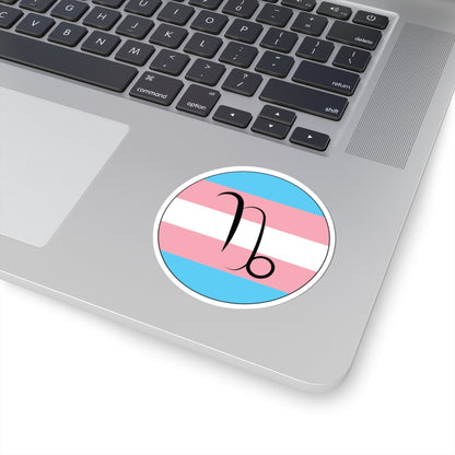 Close-up of the bottom right corner of a silver laptop featuring a 3 inch by 3 inch circular zodiac sticker with a centered Capricorn glyph on a Transgender pride flag style background applied to the surface.