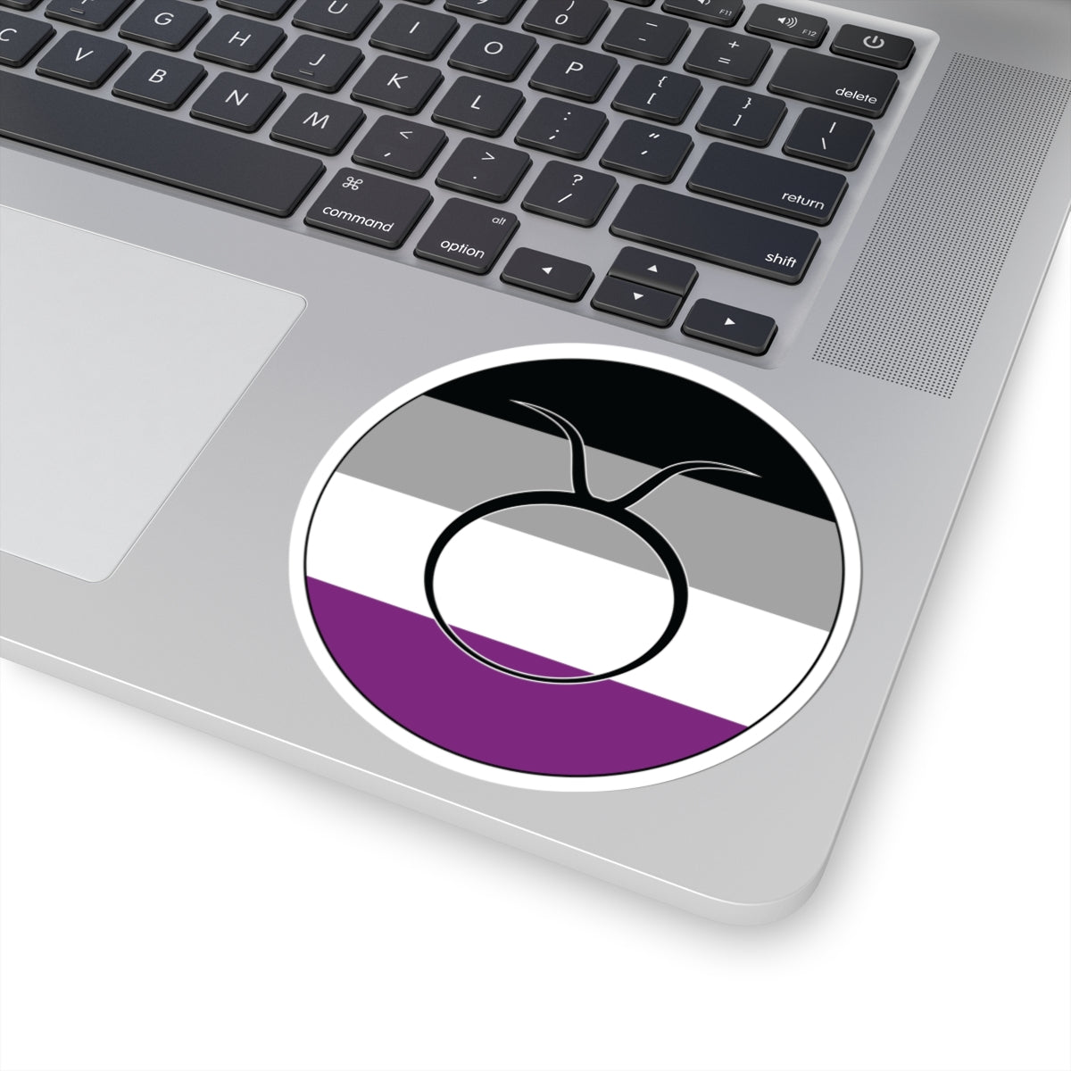 Close-up of the bottom right corner of a silver laptop featuring a 4 inch by 4 inch circular zodiac sticker with a centered Taurus glyph on an Asexual pride flag style background applied to the surface.