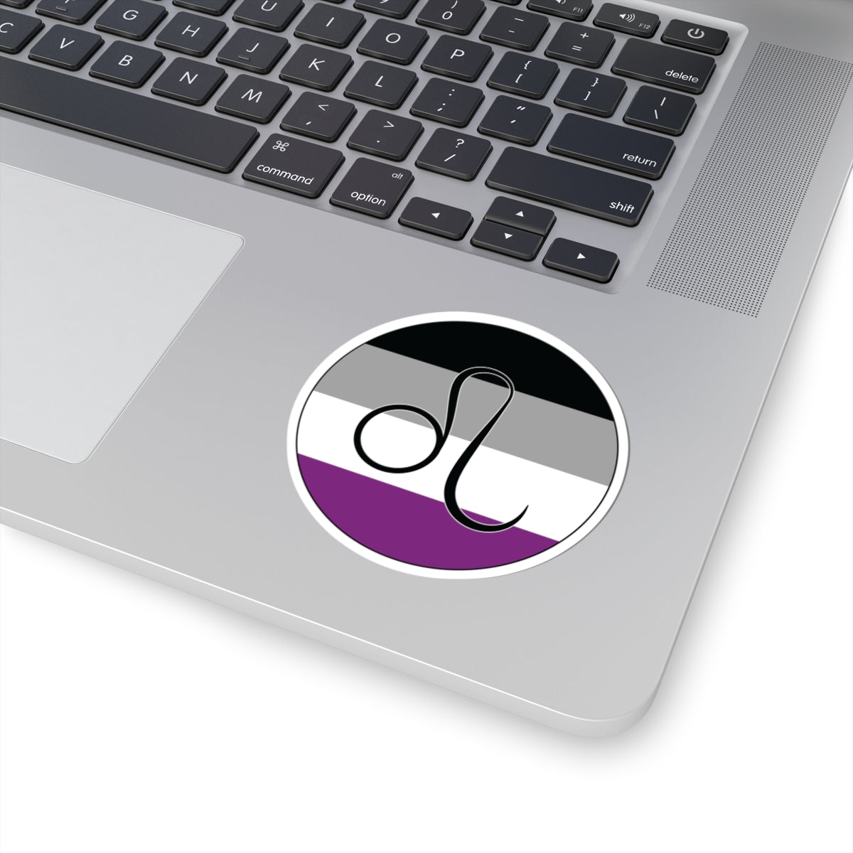 Close-up of the bottom right corner of a silver laptop featuring a 3 inch by 3 inch circular zodiac sticker with a centered Leo glyph on an Asexual pride flag style background applied to the surface.