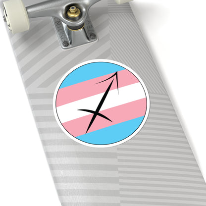 Close-up of the bottom of a silver skateboard featuring a 6 inch by 6 inch circular zodiac sticker with a centered Capricorn glyph on a Transgender pride flag style background applied to the surface.